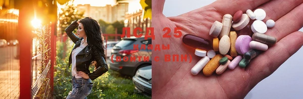 стаф Беломорск