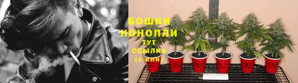 стаф Беломорск