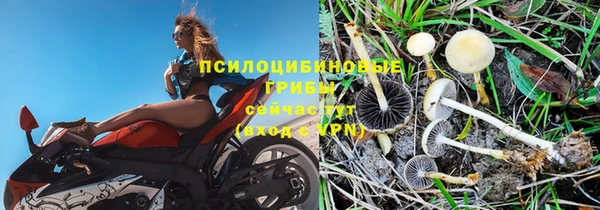 стаф Беломорск