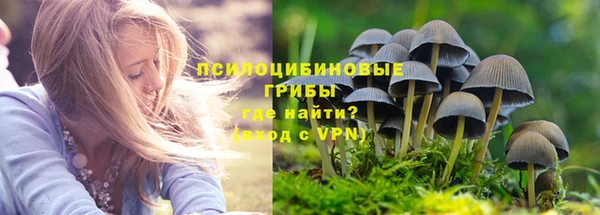 кокс Белокуриха