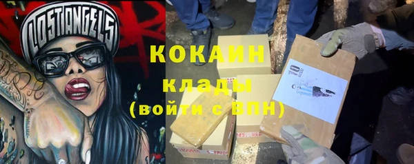 кокс Белокуриха