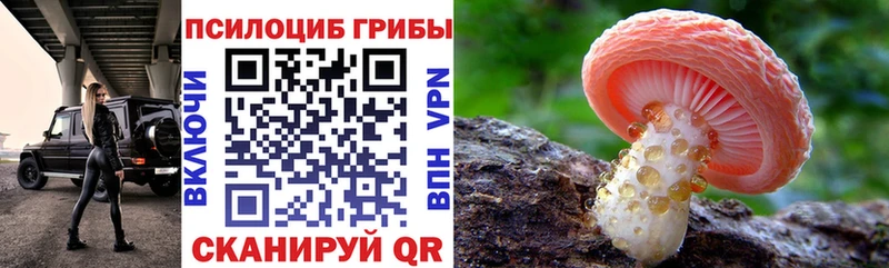 Галлюциногенные грибы Cubensis  купить наркоту  Калининград 